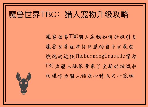 魔兽世界TBC：猎人宠物升级攻略